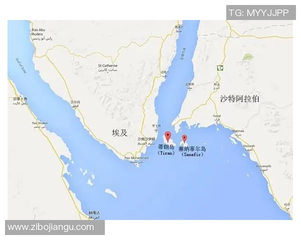 沙特与埃及比赛直播信息及观看渠道全攻略 沙特与埃及比赛直播信息及观看渠道全攻略