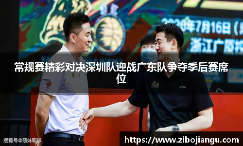 常规赛精彩对决深圳队迎战广东队争夺季后赛席位